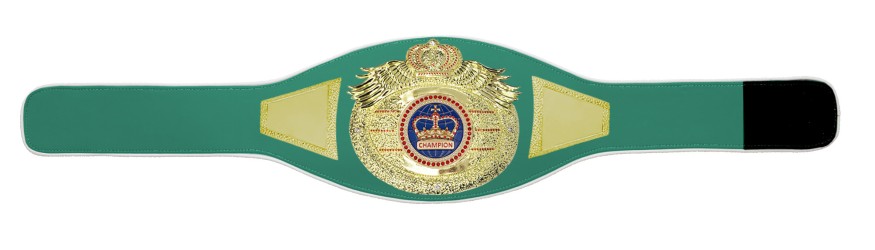 *NEW* PROICON CHAMPIONSHIP BELT/G/BLUGEM - AVAILABLE IN 6+ COLOURS